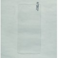 Загартоване захисне скло на Doogee S90c Оригінал!